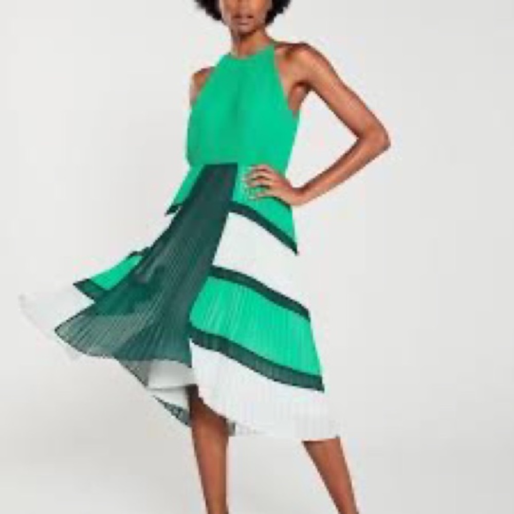 Ted Baker Nellina Pleated Midi Asymmetrical Dress
